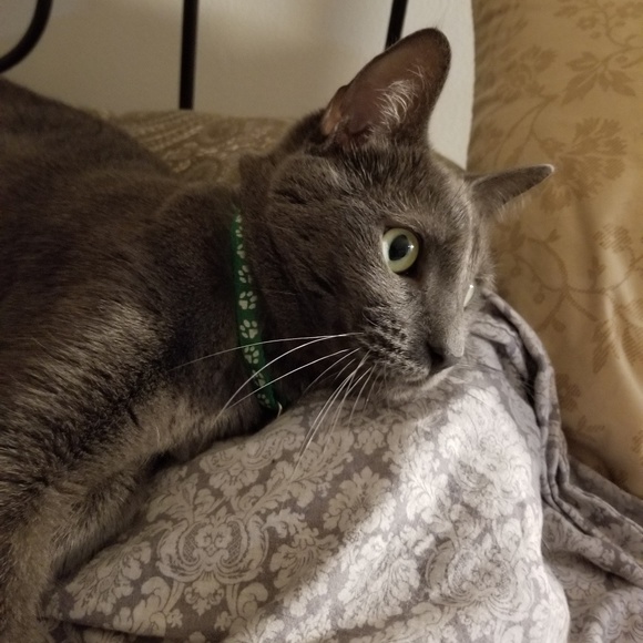 Meet your Seller Sandy 🐈⬛ - Picture 10 of 16